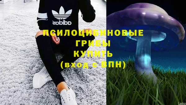 сатива Верхнеуральск