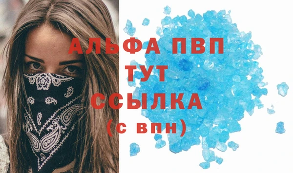 спиды Верея