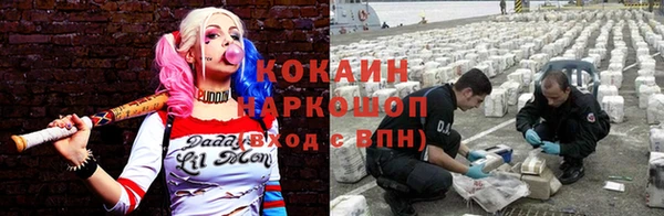 спиды Верея